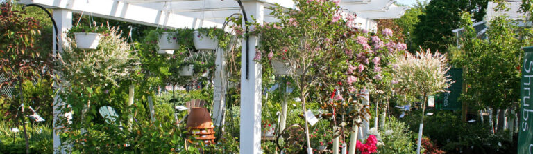 cropped-banner1.jpg | Elegant Gardens Nursery Moorpark, CA.