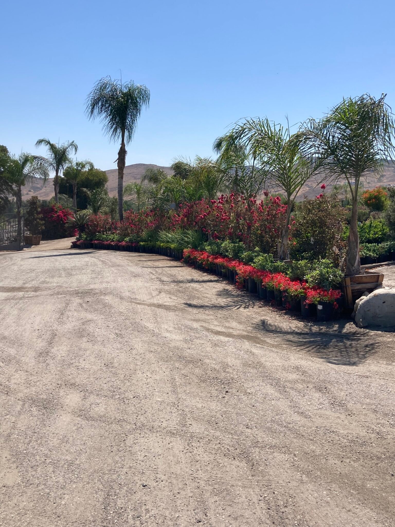 Nursery Entrance Elegant Gardens Nursery Moorpark, CA.
