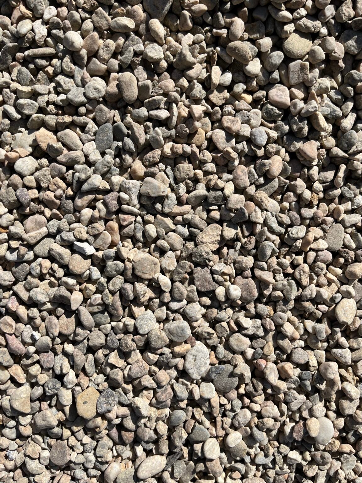 Pea Gravel 3/8” Elegant Gardens Nursery Moorpark, CA.
